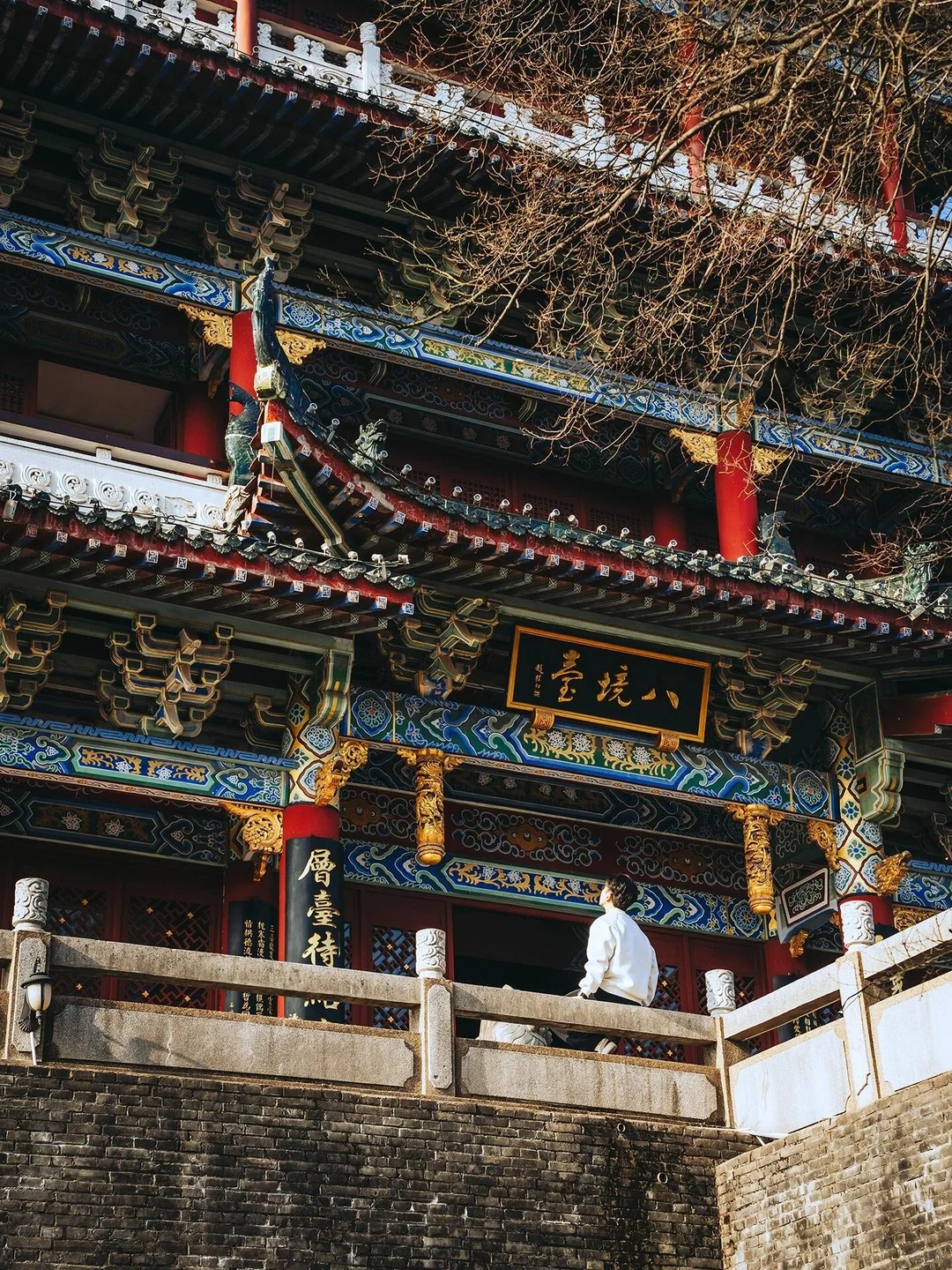 八境台特写